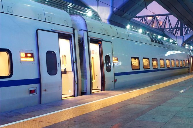 Private Arrival Transfer: Rome Train Station to Hotel - Why a private station-to-hotel transfer matters in Rome