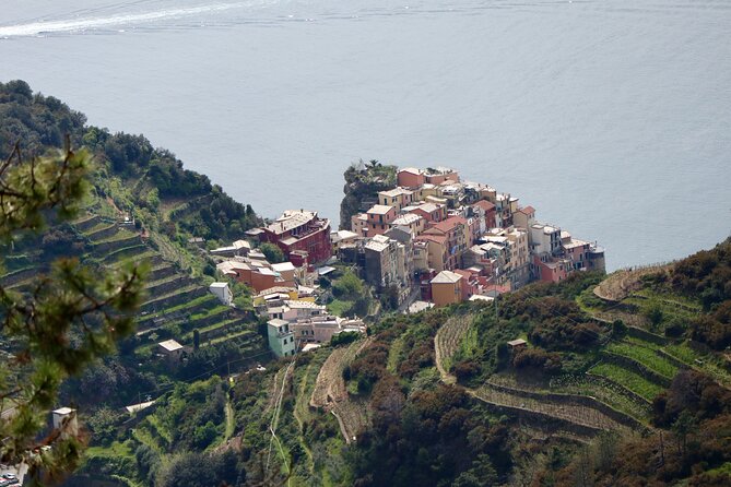 Private Cinque Terre Trek & Tour - Guide factor: Pall (and why local relationships matter)
