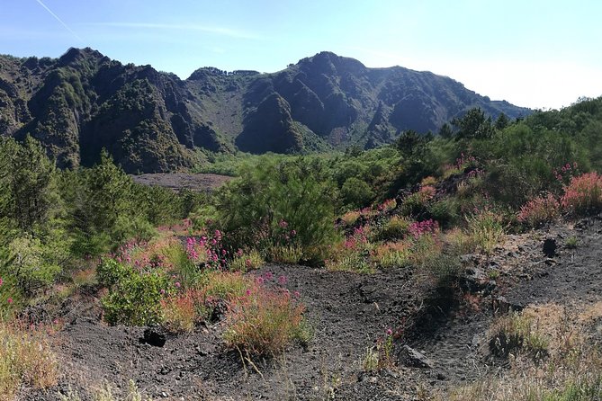 Private Day Tour to Vesuvius, Herculaneum & Pompeii with Pick Up - What to Bring (So the Day Feels Easier)