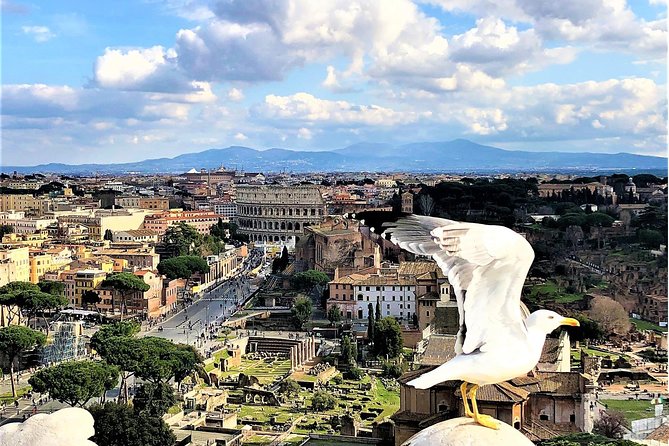 Private Rome WOW Tour in 1 Day: Luxury Car, Guide, Tkts & Lunch! - Entering the Colosseum: timed access plus a real guide