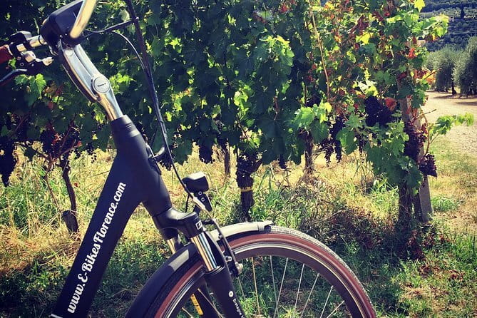 Private Self-Guided E-Bike Ride in Tuscany with Vineyard Visit - Key points before you go