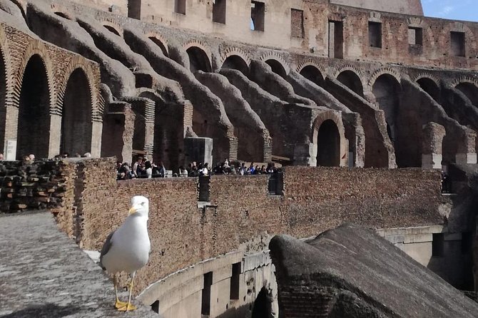 Private tour of Colosseo - Meeting at Piazza del Colosseo 21 and the Coffee-Start Intro