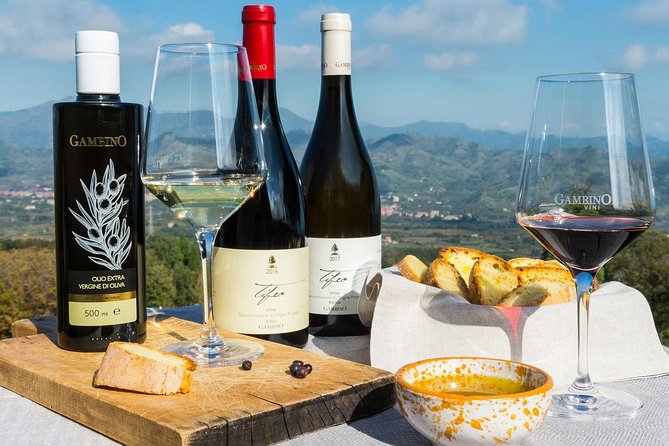 Private tour of Etna and Winery Visit with Food and Wine Tasting from Taormina - Key things to know before you go