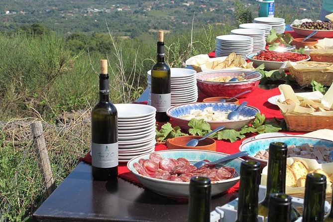 Private tour of Etna and Winery Visit with Food and Wine Tasting from Taormina - What to Pack (and What to Expect on an Etna Day)