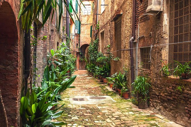 Private Tour: Secret Siena Walking Tour - Contrade and Palio talk: why this tour feels more like Siena than like a checklist