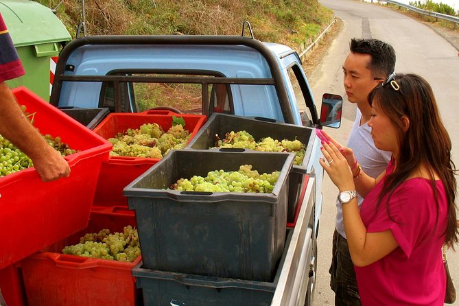 Private Tour to Cinque Terre from Florence - Lunch, Views, and the Real Value of a Good Guide