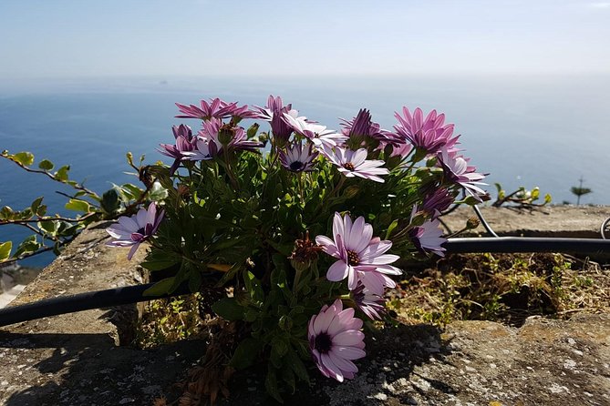 Private Transfer from Naples to Positano - Timing and Route Choices: How You Actually Gain Hours
