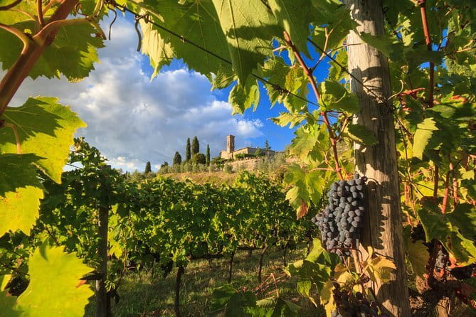 Private Tuscany Tour from Florence Including Siena, San Gimignano and Chianti Wine Region - Key things I’d plan around