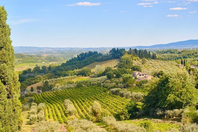 Private Tuscany Tour from Florence Including Siena, San Gimignano and Chianti Wine Region - Price and Value: What $520 Buys on an Eight-Hour Day