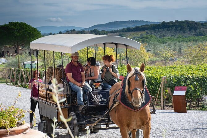 Private Tuscany Tour from Florence Including Siena, San Gimignano and Chianti Wine Region - Who This Tour Fits Best (and Who Might Want a Slower One)