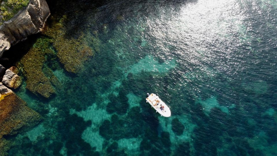 Procida: Boat Tour with Swimming Stops and Underwater Photos - Domenico at the helm: what makes the guide matter