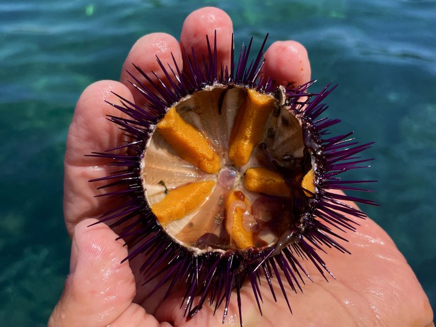 Procida: Boat Tour with Swimming Stops and Underwater Photos - Price and value: is $53 a fair deal?