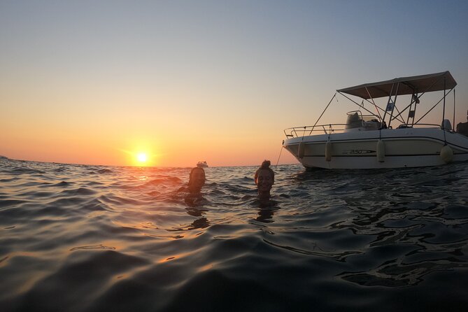 Procida Island Tour by Boat 2h 15m with Swimming and Underwater Photos - Stop 3: Vivara Nature Reserve Views by Boat