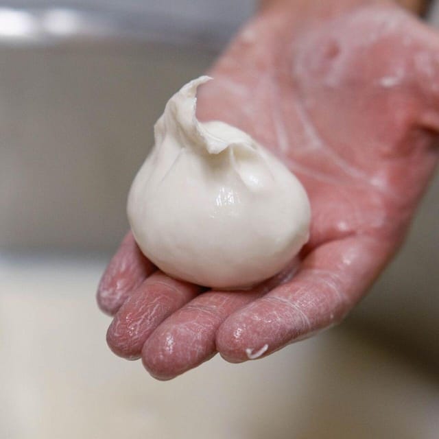 Puglia: Masseria Seppunisi Tour, Cheese, Burrata Tasting - Key things I think you’ll remember