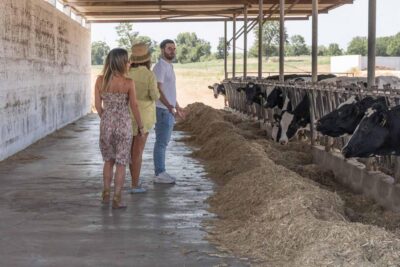 Puglia: Masseria Seppunisi Tour, Cheese, Burrata Tasting - Price and timing: good value for hands-on learning