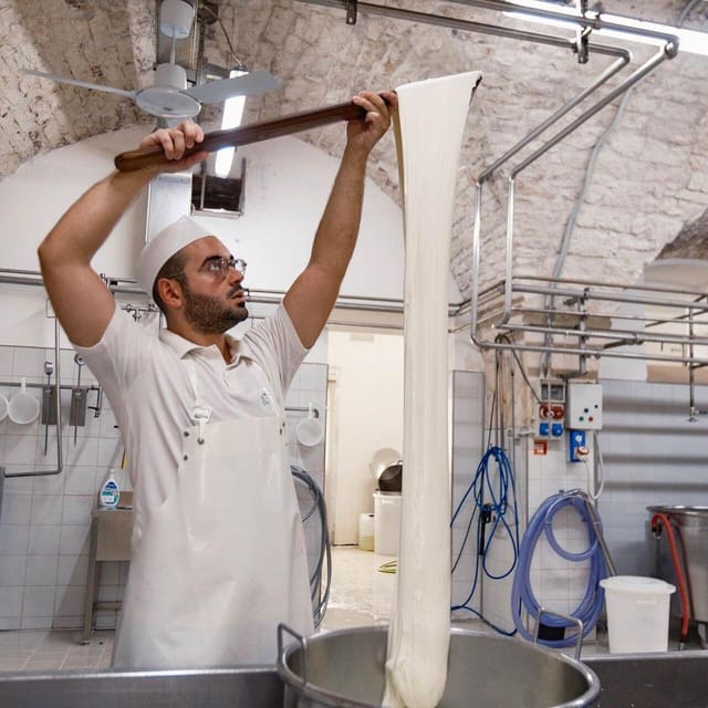 Puglia: Masseria Seppunisi Tour, Cheese, Burrata Tasting - Meeting the cows (and yes, the calves steal the show)