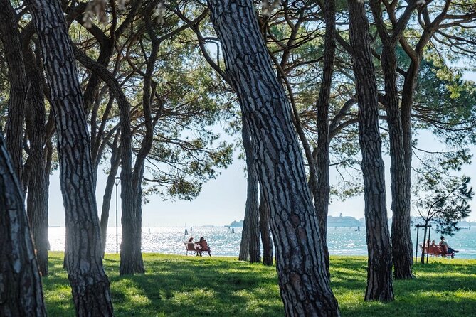 Punta Sabbioni to Venice Round-Trip Boat Ticket - Price and Value: About $18 for a Full Round Trip