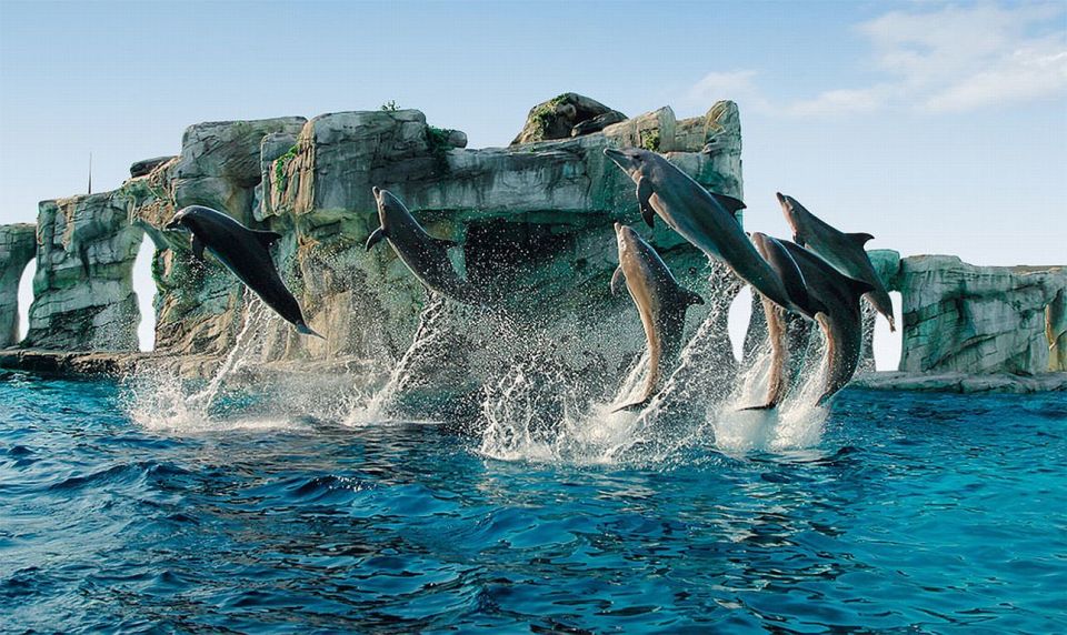 Riccione: Oltremare Park Entrance Ticket - Tickets for a full day: value is in the variety