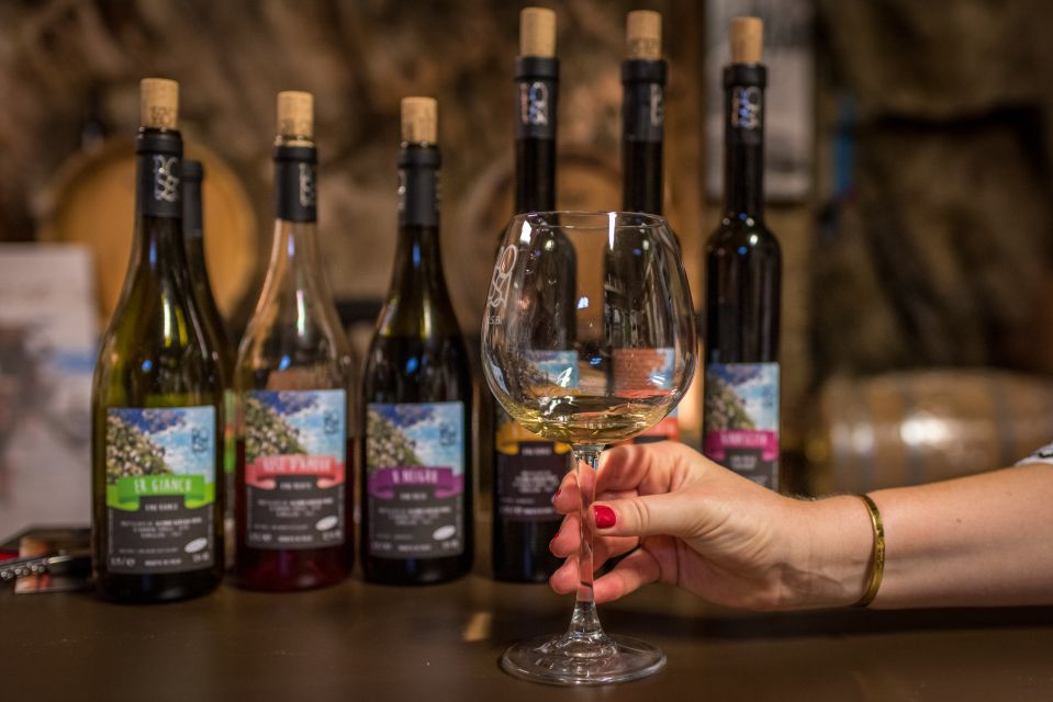 Riomaggiore: Vineyard & Wine Cellar Tour with Wine Tasting - Key things I’d mark on your map