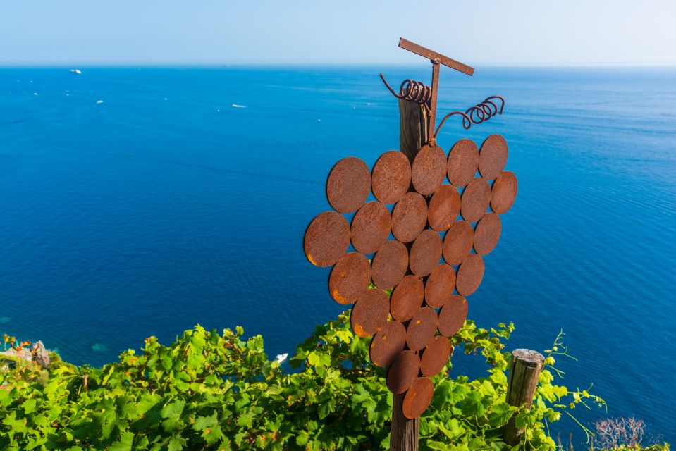 Riomaggiore: Vineyard & Wine Cellar Tour with Wine Tasting - Vertical vineyards above Riomaggiore: the big wow
