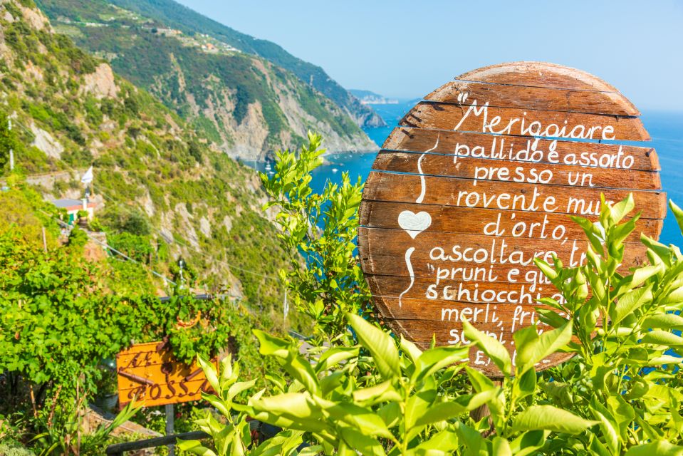 Riomaggiore: Vineyard & Wine Cellar Tour with Wine Tasting - The vineyard portion: why people talk about the 250-meter drop