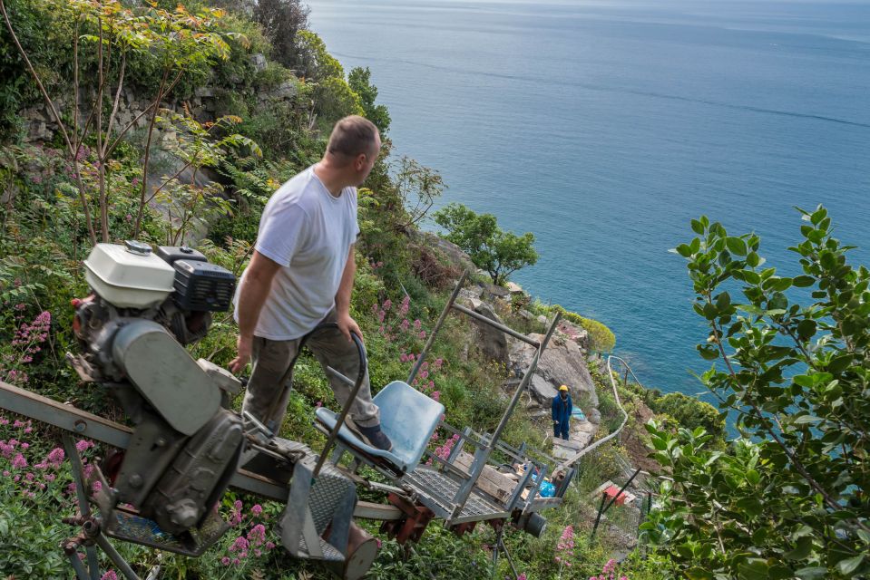 Riomaggiore: Vineyard & Wine Cellar Tour with Wine Tasting - Tradition meets experiment: Cinque Terre winemaking, explained simply