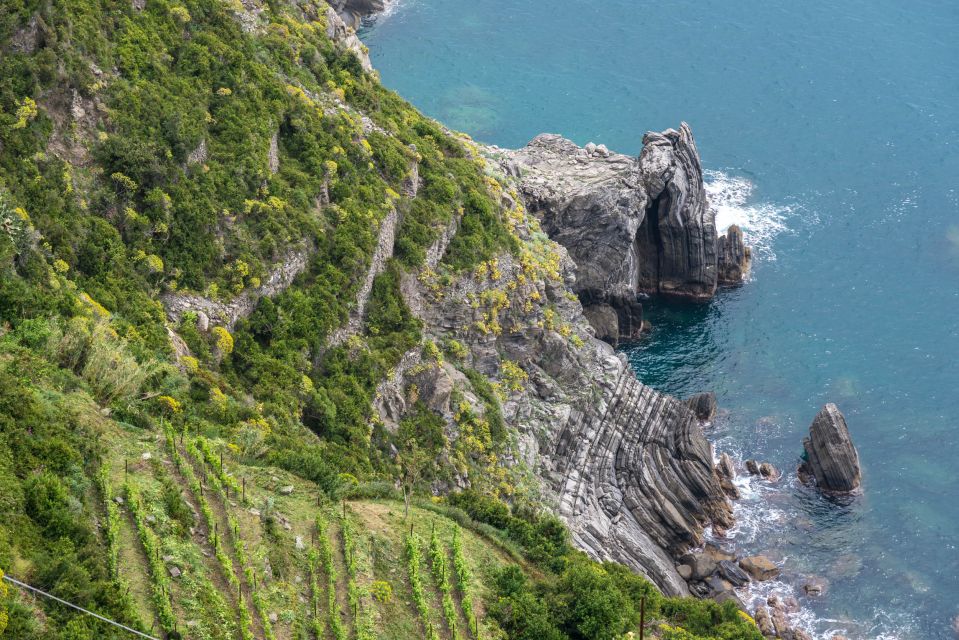 Riomaggiore: Vineyard & Wine Cellar Tour with Wine Tasting - Who should book, and who should rethink it