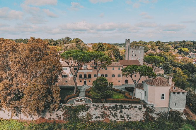 Roman countryside Food & Wine Tasting in a medieval winery - Should you book: my honest take