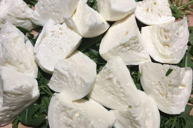 Roman Food Tour with Visit to the Trionfale Food Market - Il Segreto trattoria finish: Roman pasta choice, wine, dessert, and gelato