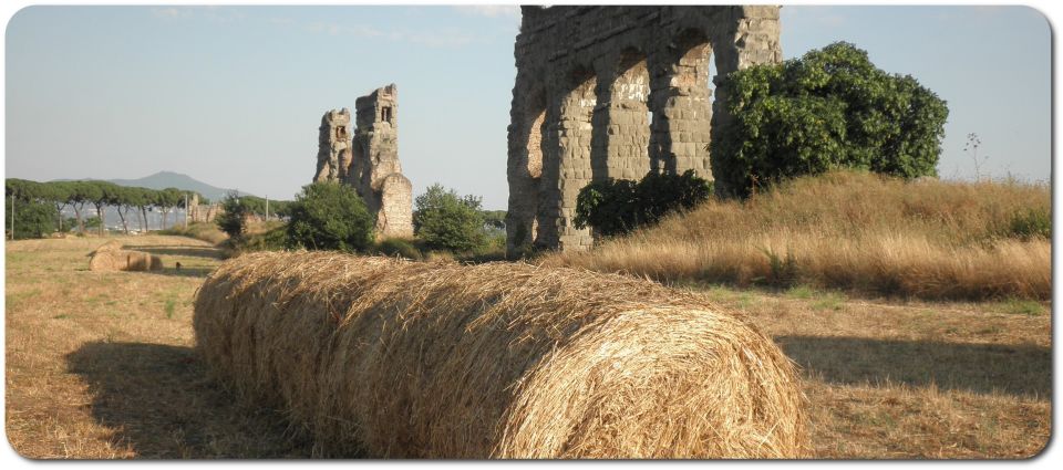 Rome: Appian Way E-Bike Tour Catacombs, Aqueducts & Picnic - A Half-Day Escape That Feels Like Another Rome