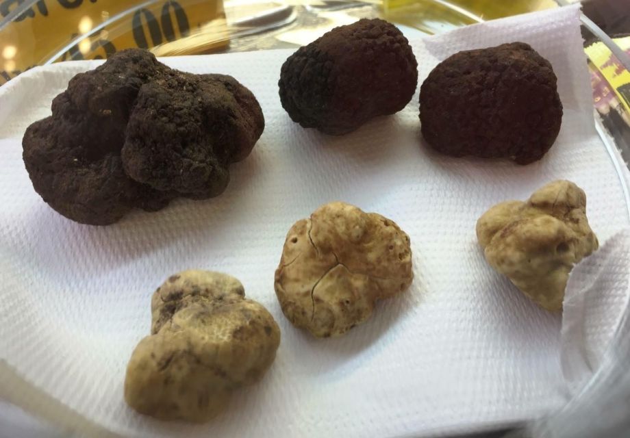 Rome: Award-Winning Roman Food Tours - Pacing and Portions: Come Hungry, but Plan Your Next Meal