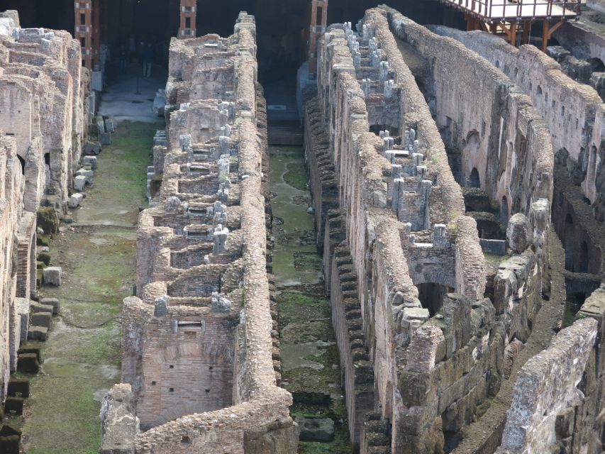 Rome: Colosseum Arena Floor, Roman Forum & Palatine Tour - Gladiators Entrance and the Arena Floor you can’t replicate