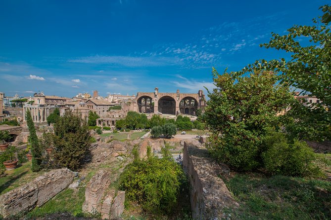 Rome: Colosseum Arena, Roman Forum & Palatine Hill Tour - Timing, Pacing, and the Heat Factor