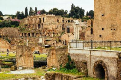 Rome Colosseum & Forum PRIVATE TOUR with a Local Private Guide - Roman Forum: walking through the city’s political and social heartbeat