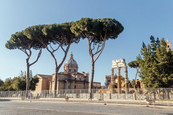 Rome Colosseum & Forum PRIVATE TOUR with a Local Private Guide - What you’ll notice: guide-led pacing, photo planning, and local tips