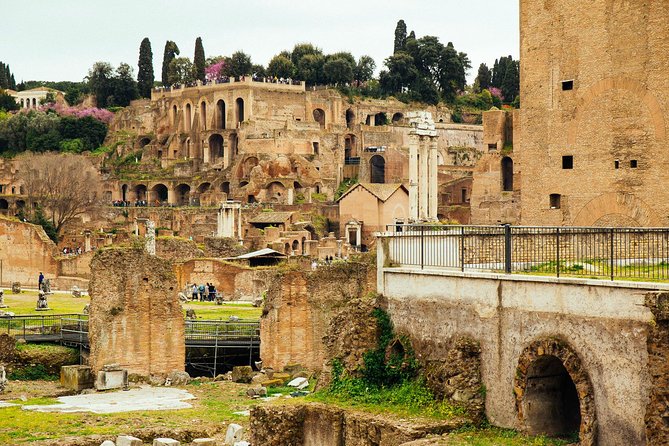 Rome Colosseum & Forum PRIVATE TOUR with a Local Private Guide - Roman Forum: walking through the city’s political and social heartbeat
