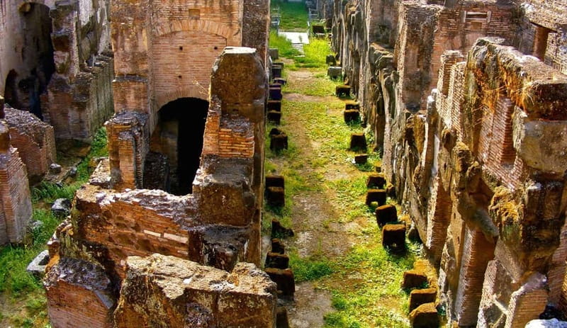 Rome: Colosseum Gladiator's Arena and Roman Forum Tour - Where you meet and what to bring
