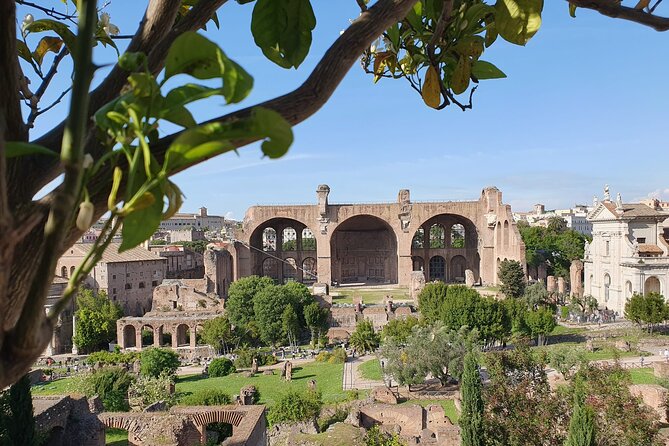 Rome: Colosseum, Roman Forum & Palatine Hill Experience - Palatine Hill: Emperor Views and the First Neighborhood of Rome
