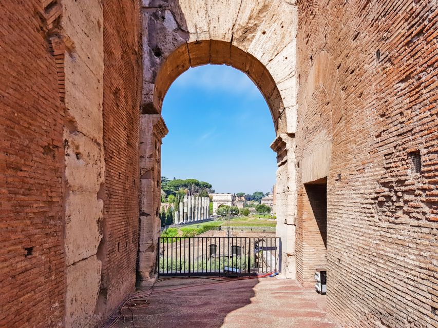 Rome: Colosseum, Roman Forum & Palatine Hill Tour - Palatine Hill: Emperor Views and the Palace Zone