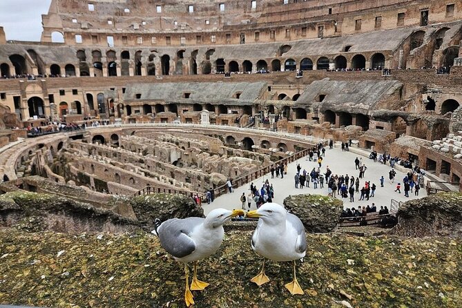 Rome: Colosseum, Roman Forum & Palatine Hill Visit + Audio Guide - Meet-Up Reality at Piazza del Colosseo