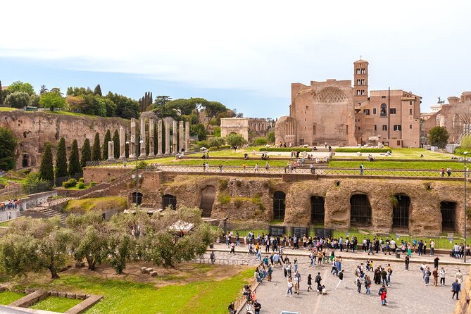 Rome: Colosseum with Roman Forum & Palatine Hill Guided Tour - Price and Value: Why $9.95 Can Be a Smart Bet
