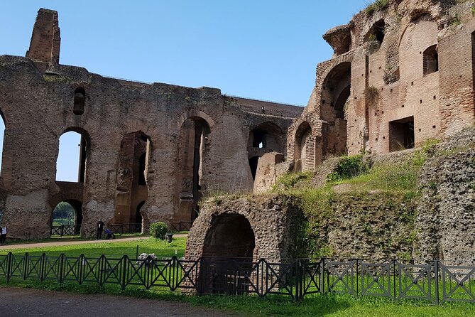 Rome Colosseum,Palatine Hill and Roman Forum Guided Tour - Key things to know before you go