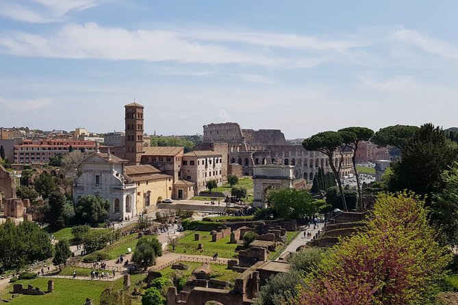 Rome Colosseum,Palatine Hill and Roman Forum Guided Tour - Palatine Hill in 45 minutes: emperors’ palaces and the Rome origin story
