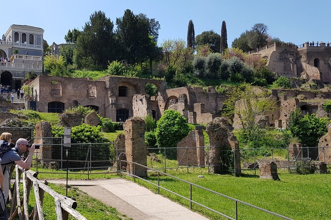 Rome Colosseum,Palatine Hill and Roman Forum Guided Tour - Group size, pace, and what to wear