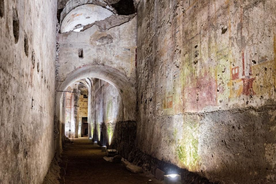 Rome: Domus Aurea Guided Group Tour - Price and what you’re really paying for (value check)
