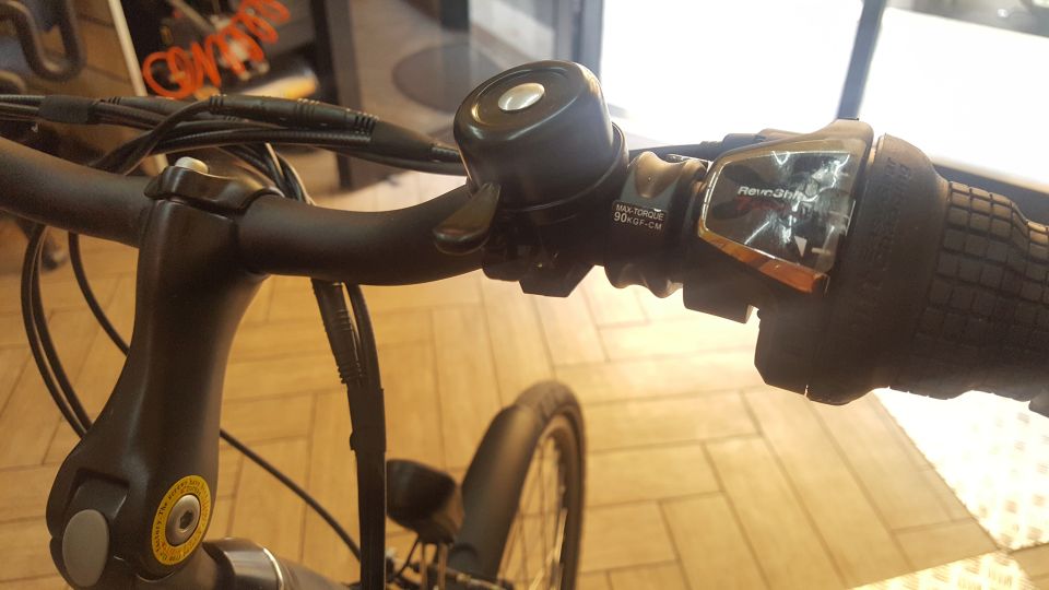 Rome: Electric Bike Rental - Choosing Your Pace with Three Speed Levels