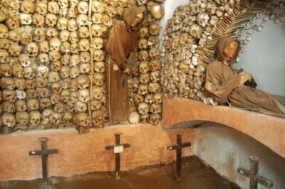 Rome: Guided Catacombs Tour & Capuchin Crypt (Audio Guide) - The panoramic transfer: getting to the Hop-On Hop-Off stop without stress