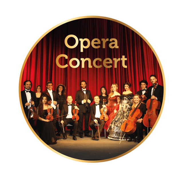 Rome: Musical Biography of Frank Sinatra Concert - The music journey: opera arias, Sinatra standards, and film-music flavor
