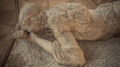 Rome: Pompeii Tour with Wine and Lunch by High Speed Train - Pompeii entry with skip-the-line and a guided walk