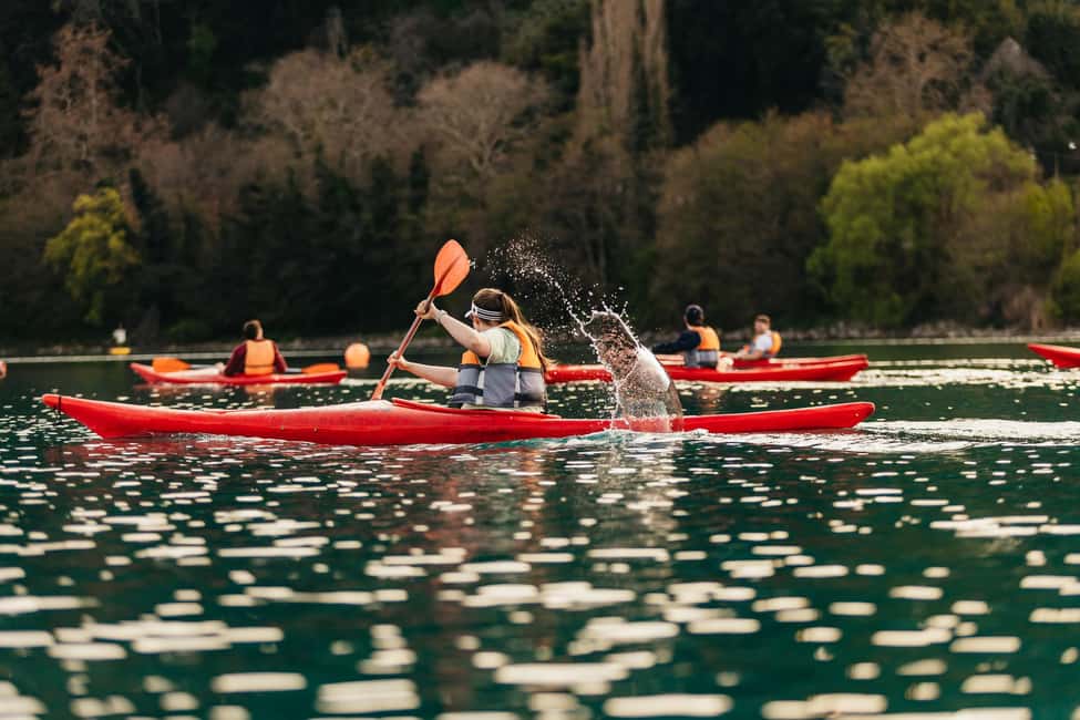 Rome: Popes' Lake, Kayak Tour with Swimming & Roman Pizza - Castel Gandolfo From the Water: The Pope’s Summer Retreat Perspective